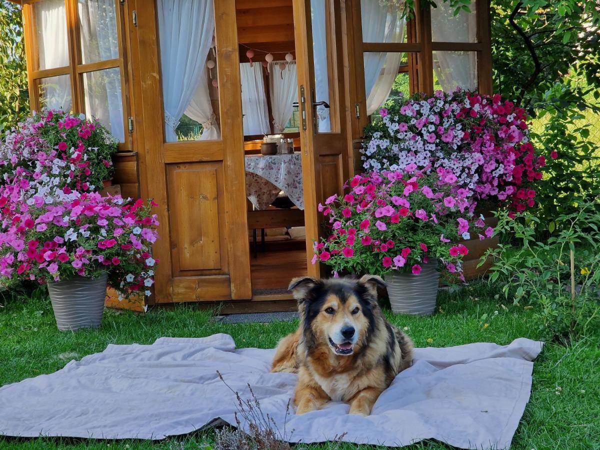Przystanek Pod Skalkami Lägenhet Lesko Exteriör bild