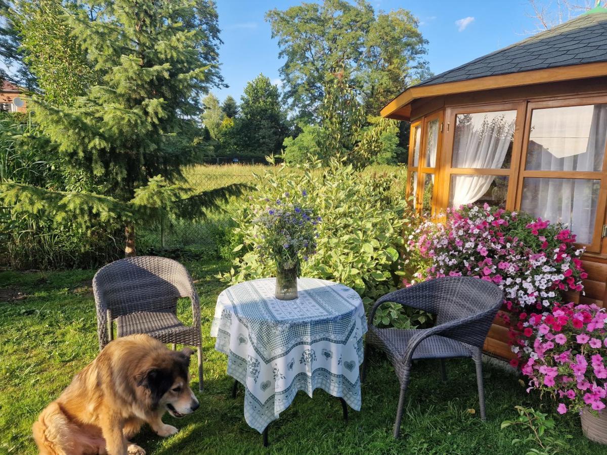 Przystanek Pod Skalkami Lägenhet Lesko Exteriör bild